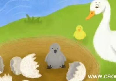 形容鸭子在水里的情景 水里的鸭子怎么形容