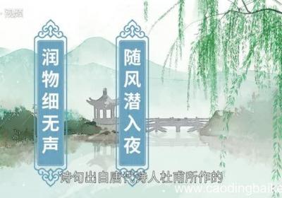 随风潜入夜的下一句 随风潜入夜后面一句是什么