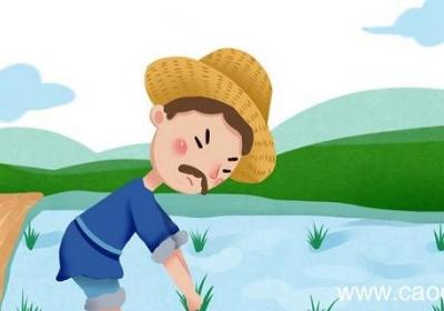 悯农一表达了作者怎样的思想感情 悯农一表达了的思想感情