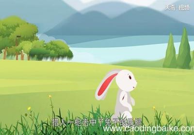 全力以赴的故事