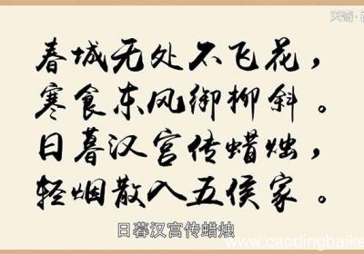 《寒食》古诗的意思 《寒食》古诗译文