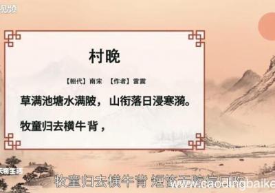 村晚赏析 村晚赏析简单