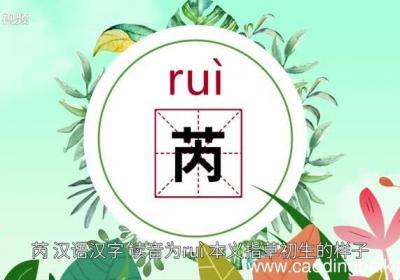 芮怎么读 芮的读音