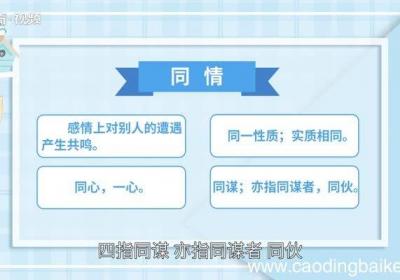 同情的意思 同情的解释