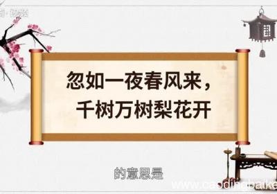 赏析忽如一夜春风来千树万树梨花开的意思