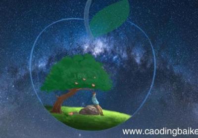 重力的大小与物体的形状有关吗 重力的大小是否与物体的形状有关
