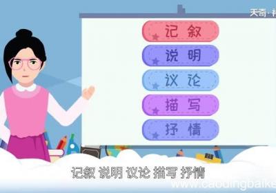 表达方式有哪些