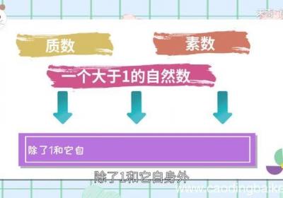 素数和合数的定义 质数和合数是什么