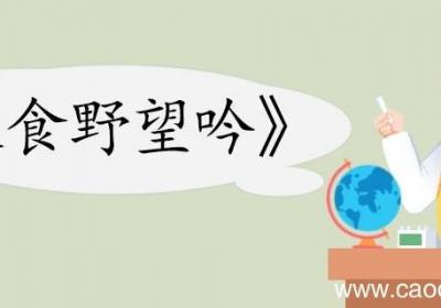 寒食野望吟翻译 寒食野望吟的翻译