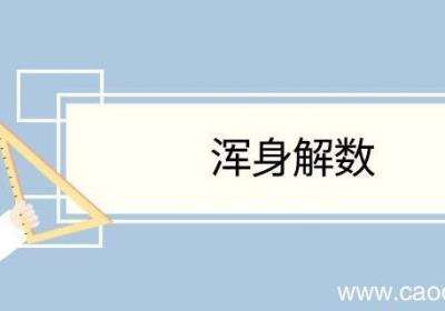 浑身解数造句 浑身解数意思
