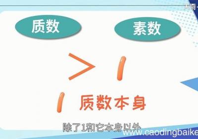 59的因数有哪些 59的因数是哪些数
