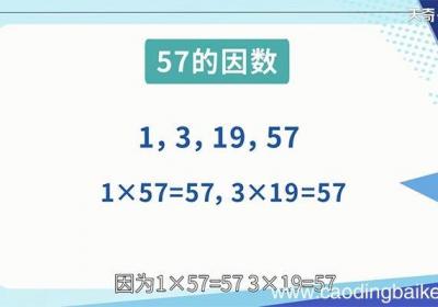 57的因数有哪些数 57的因数有哪些