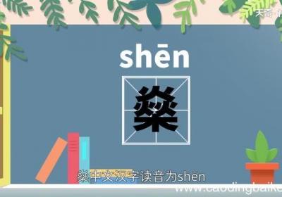 燊字怎么读 燊的拼音