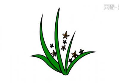 梅兰竹菊简笔画 梅兰竹菊简笔画怎么画