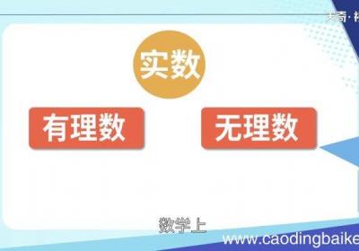 实数是什么什么是实数