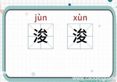 浚怎么读 浚是怎么读的
