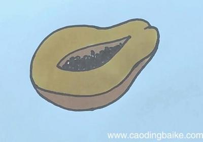 木瓜简笔画