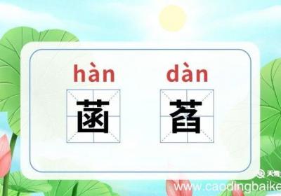 菡萏怎么读 菡萏是怎么读的