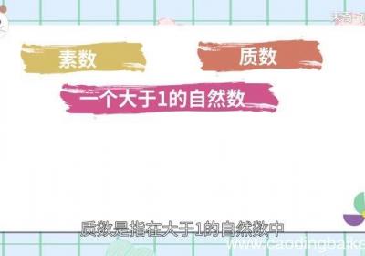 素数的定义素数是怎么定义的