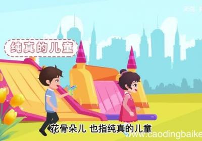 蓓蕾的意思 蓓蕾的解释