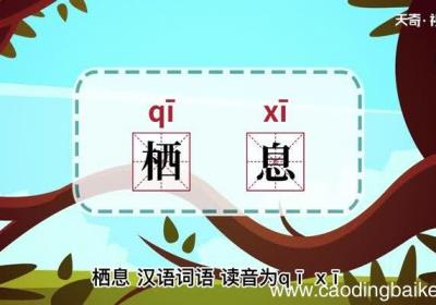 栖息的意思 栖息的意思是什么