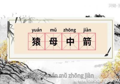 猿母中箭的意思 猿母中箭的出处