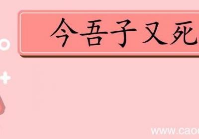今吾子又死焉的翻译 今吾子又死焉翻译