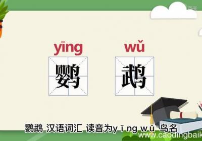 鹦鹉的意思 鹦鹉什么意思