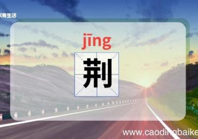 荆怎么读 荆的读音怎么读