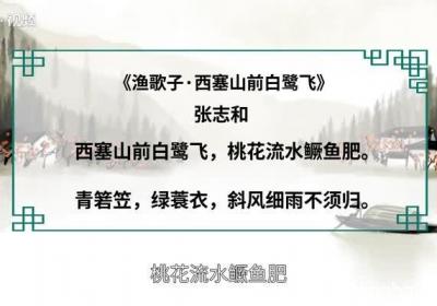 渔歌子的意思 《渔歌子》是什么意思
