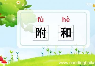 附和的意思 附和什么意思