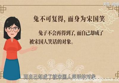 兔不可复得，而身为宋国笑的意思。 翻译兔不可复得 而身为宋国笑