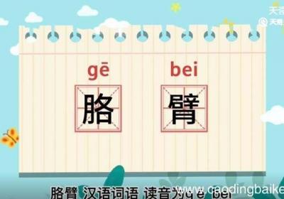 胳臂的意思 胳臂什么意思