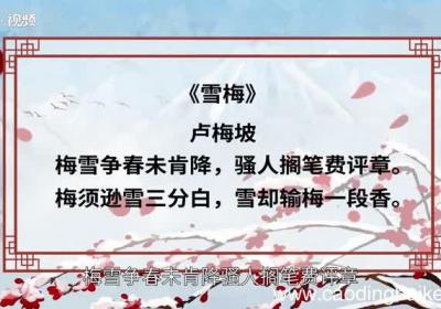 雪梅古诗的意思 雪梅古诗是什么意思