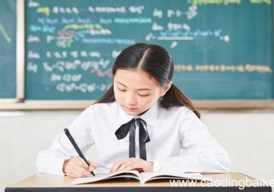 弹簧测力计的原理是什么？ 弹簧测力计是什么原理？