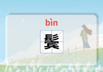 鬓怎么读 鬓的读音怎么读