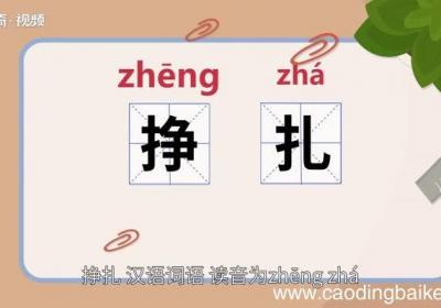 挣扎的意思 挣扎的解释