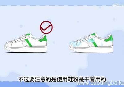 贝壳头发黄有什么办法变白 贝壳头发黄变白的办法