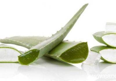痘痘破了可以用芦荟胶吗 痘痘破了能不能使用芦荟胶