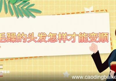 毛躁的头发怎样才能变顺 毛躁的头发变顺的方法