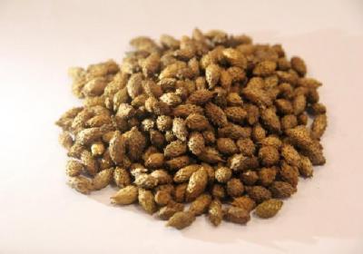中医祛斑食谱有哪些？吃什么食物可以祛斑美白？