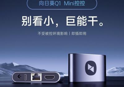向日葵Q1域名访问指南：无需软件，一键远控