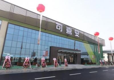 深度解析可喜安品牌成功的原因