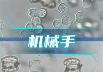 中国研制40微米3D微纳机器人助力纳米医生梦想