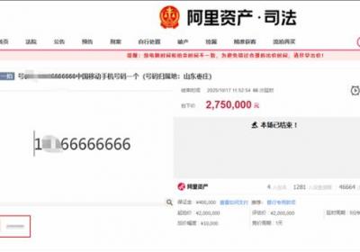 166666666手机号司法拍卖拍出275万元高价