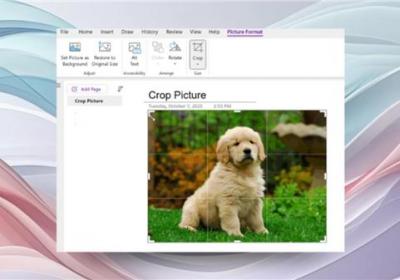 OneNote上线图片裁剪功能 支持Windows内测用户