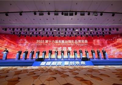 2025东莞台博会开幕，展览规模创历届新高