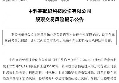 寒武纪股价飙升133.86%，风险提示揭示估值偏离与市场炒作隐忧