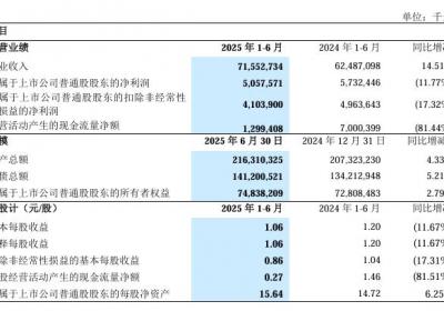中兴通讯2025年上半年营收增长14.51%，净利润同比下降11.77%