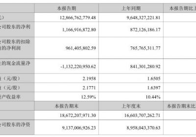 安克创新2025半年报：营收净利双增，充电储能产品驱动增长